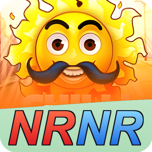 Formulário de Registro nrnr